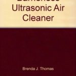 Barrierless Ultrasonic Air Cleaner