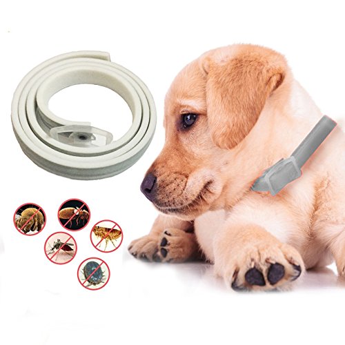 Flea and Tick Collar For Dogs and Cats, 6 Month Protection, Natural Pet