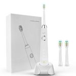 ElecForU Rechargeable Sonic Electric Toothbrush for Adults with Charging Base and 2 Brush Heads, 4 Optional Modes and Waterproof IPX7 for Shower (White)