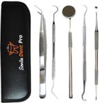 Dental Tools Smile Dent Pro Kit, Stainless Steel Dental Scaler, Mouth Mirror, Tarter Scraper, Tooth Pick, Tweezers, Plaque And Calculus Remover Dentist Hygiene Instruments Set For Home & Pet Oral Use