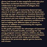 Homemade Liposomal Vitamin C: Complete Beginners Guide on How to Make Your Own Liposomal Vitamin C Recipes At Home Including Uses and Benefits