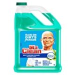 Mr. Clean Meadows & Rain Multi-Surface Cleaner with Febreze, 128 fl oz (1)