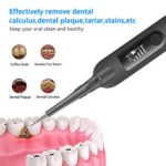 Electric Plaque Remover for Teeth, Tooth Cleaner Dental Calculus Remover Teeth Cleaning Kit with 5 Adjustable Modes,2 Replaceable Clean Heads and 1 Mouth Mirror Gray