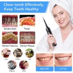 Electric Dental Calculus Remover with LED Screen, Tooth Cleaning Kit with 3 Cleaning Heads & Mouth Mirror, 5 Intensities Suitable for Adults & Kids, Black