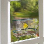 Birdious Wild Window Bird Feeder for Outside: Enjoy Unique View Small and Large Birds. Clear See Through, Strong Suction Cups with Removable Tray. Unusual Gifts