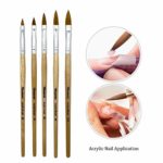 Winstonia Acrylic Nail Brush Set 5 Pcs Size 2,4,6,8,10 – Professional Brushes Kit Oval Shape for Liquid and Powder Uses Salon Quality