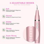 Plaque Remover for Teeth, Yoobao Ultrasonic Electric Tooth Cleaner with 4 Replaceable Heads and 1 Oral Mirror, Dental Tools Calculus Tartar Remover, 4 Modes, USB Charge, Safe for Adult Kids-Pink