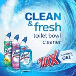 Lysol Power Toilet Bowl Cleaner Scent, Clear, Country, 48 Fl Oz, (Pack of 2)