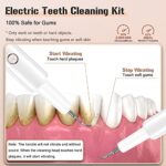 Plaque Remover for Teeth, Electric Tooth Cleaner Tartar Remover for Teeth with LED Light,4 Modes Rechargeable Teeth Cleaning Kit with Dental Tools, 2 Replaceable Heads