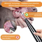 PAWSION Dog Plaque and Tartar Remover, Ultrasonic Teeth Cleaner for Dogs and Cats, Ultrasonic Dental Kit, Ultrasonic Dental Cleaner to Remove Dog’s Tartar and Plaque